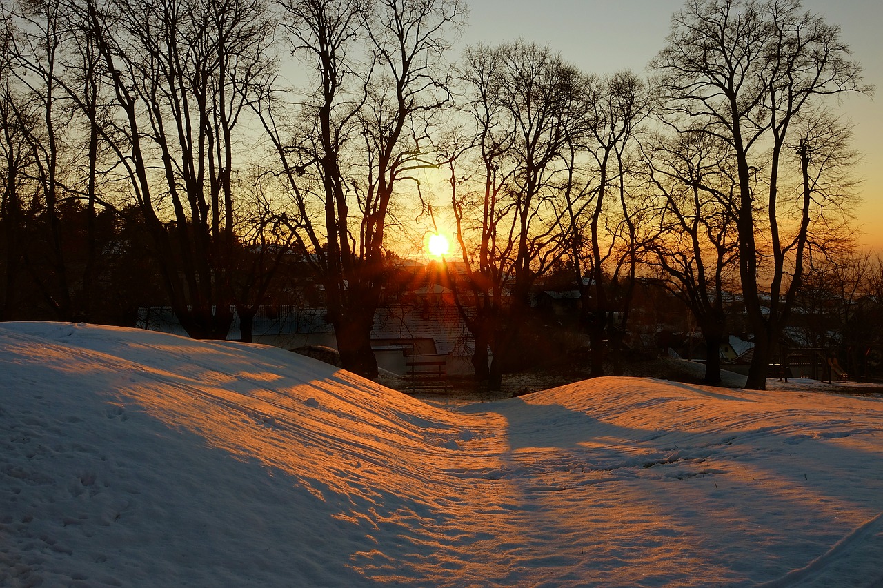 winter snow snow landscape free photo