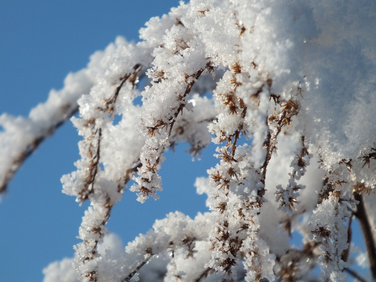 winter snow ice free photo