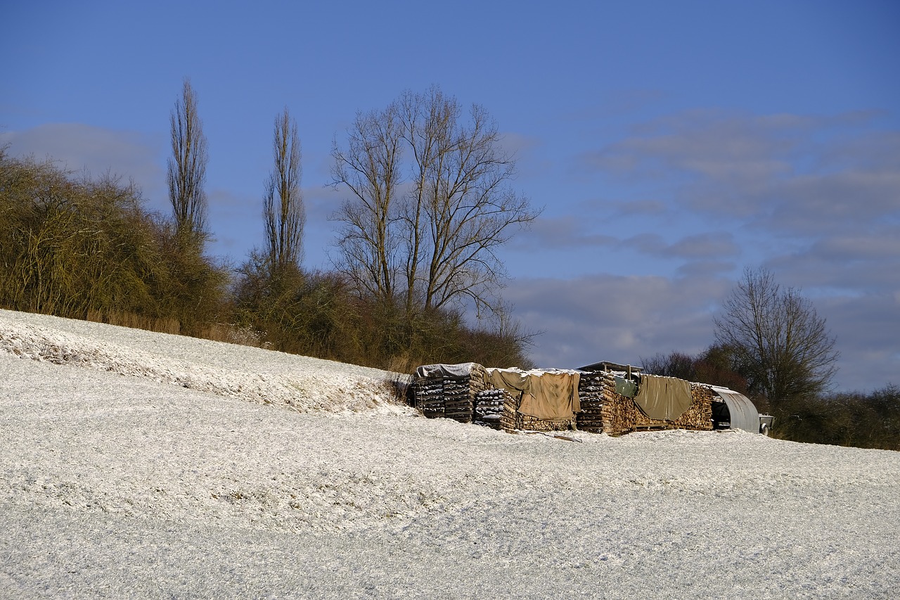 winter snow snowy free photo