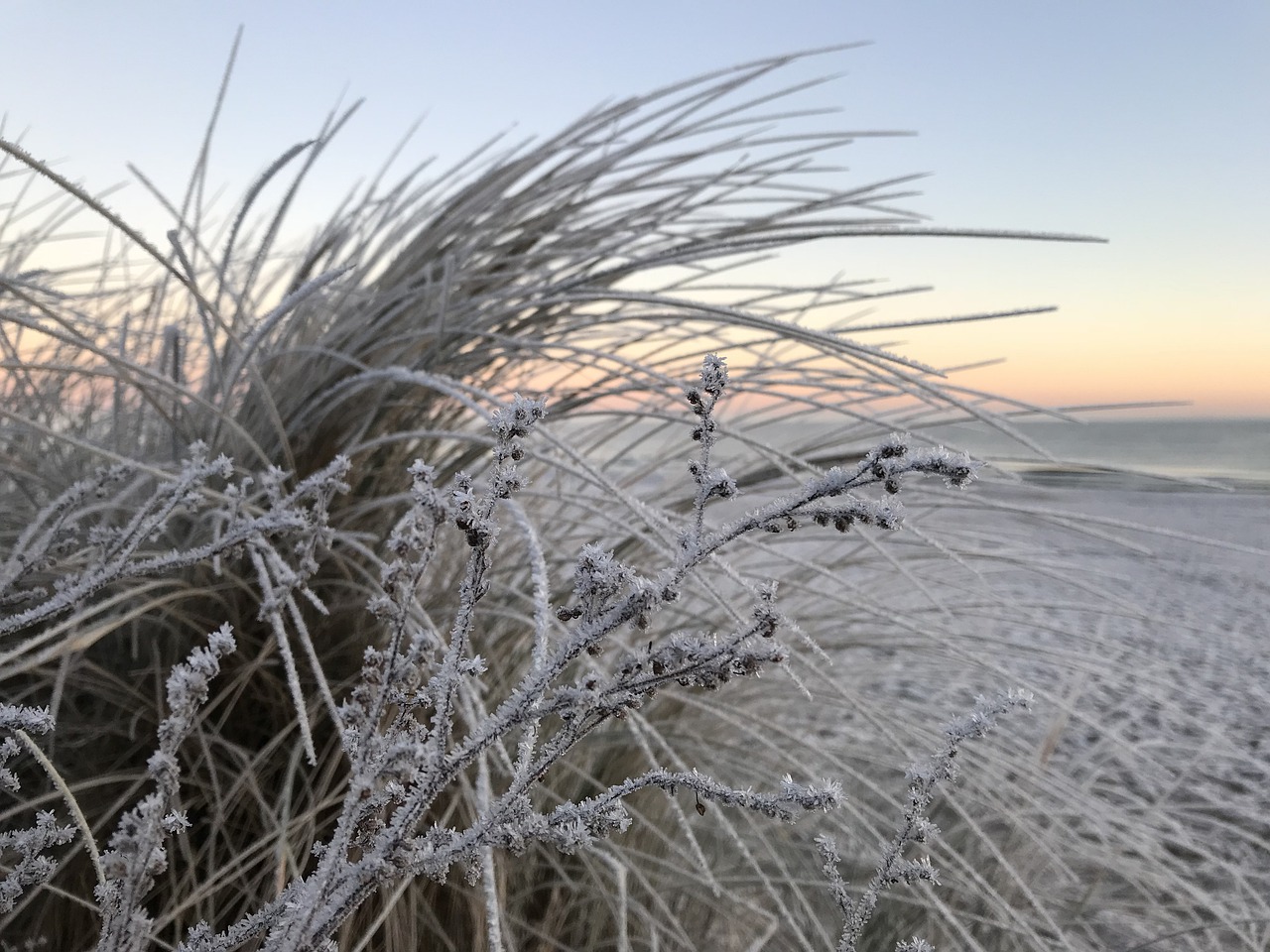 winter beach ice free photo