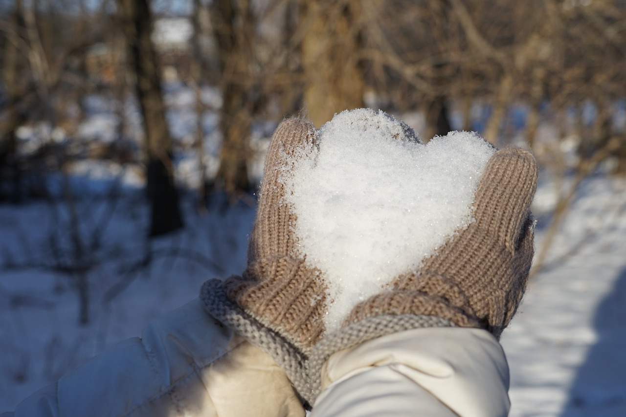 winter snow cold free photo