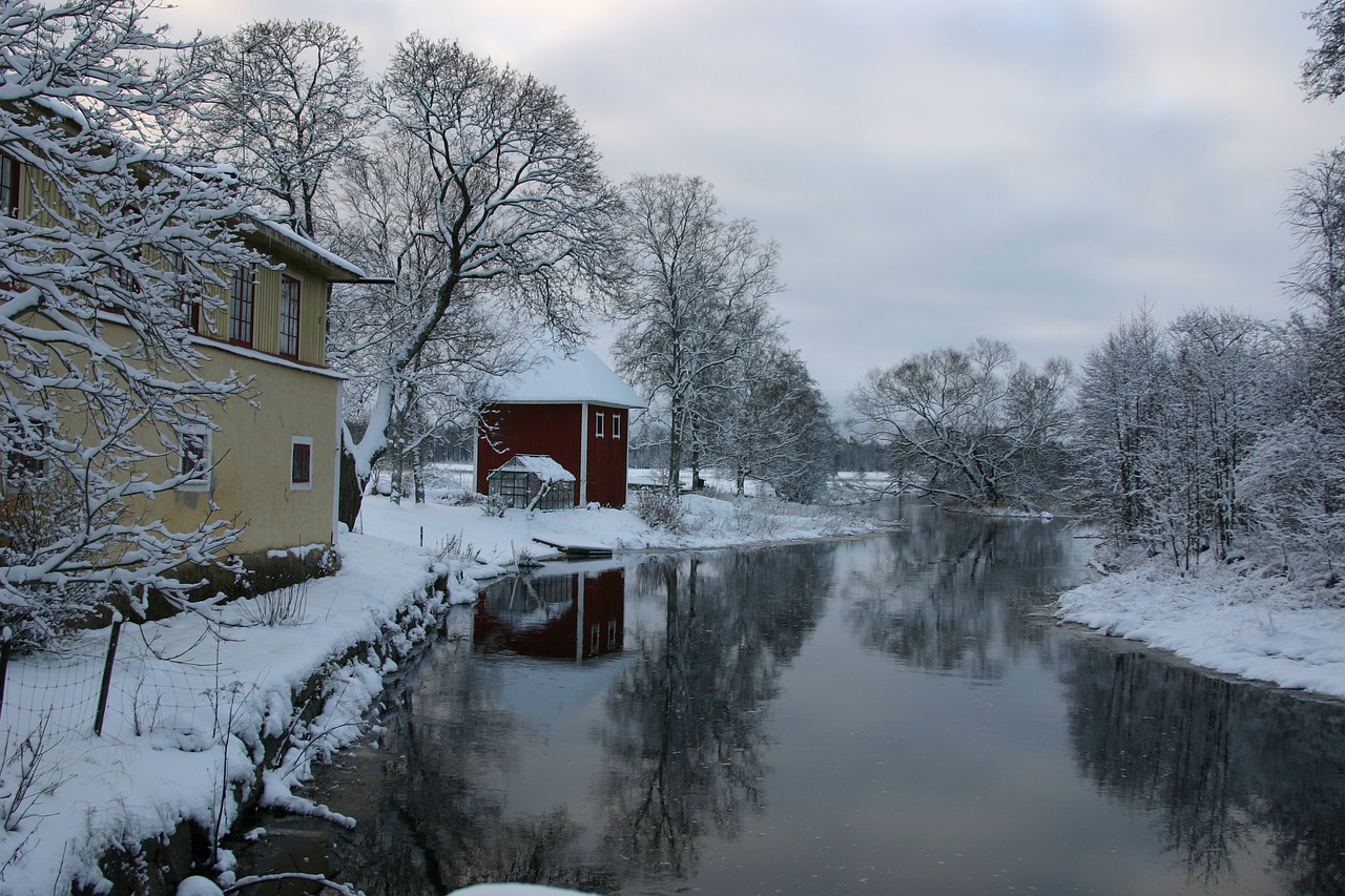 winter snow cold free photo