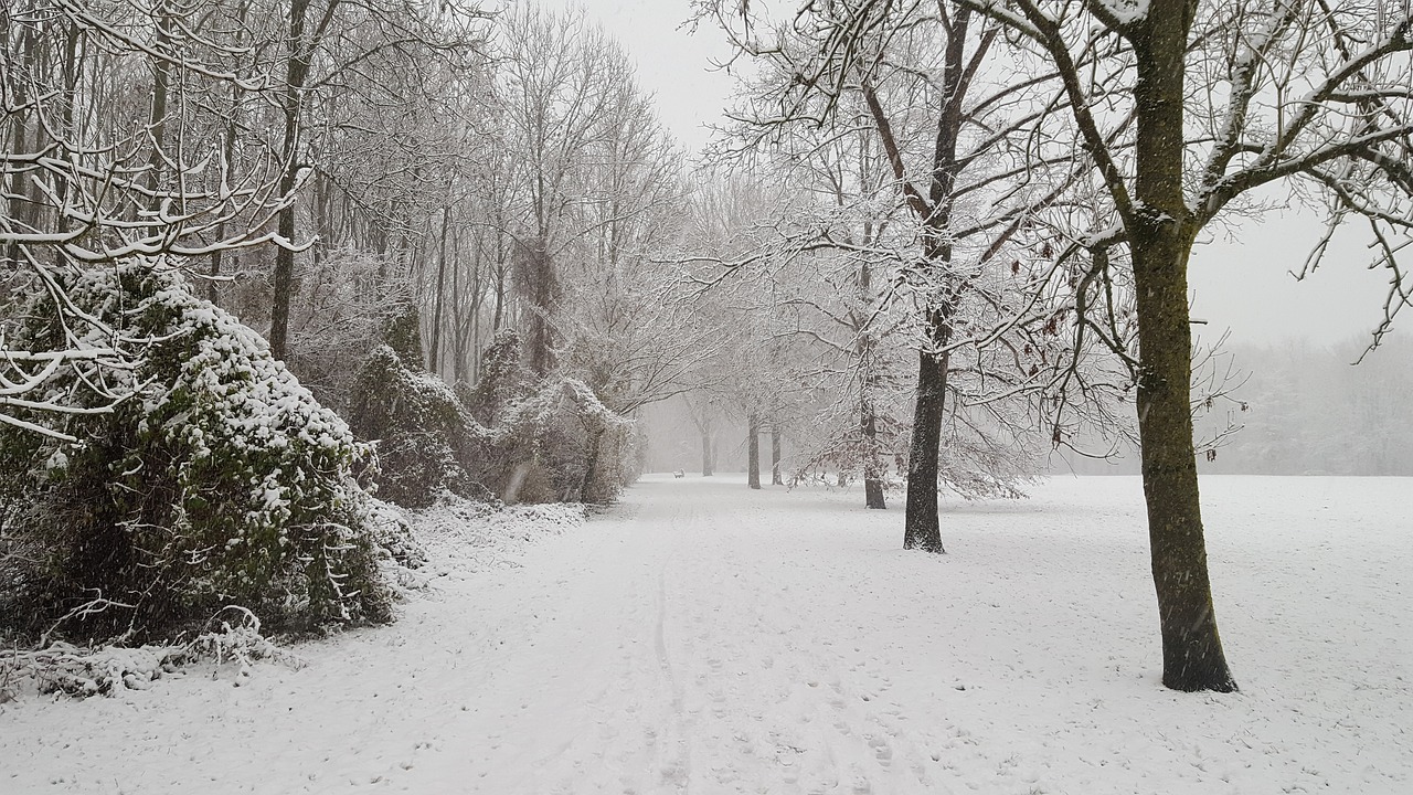 winter snow frost free photo