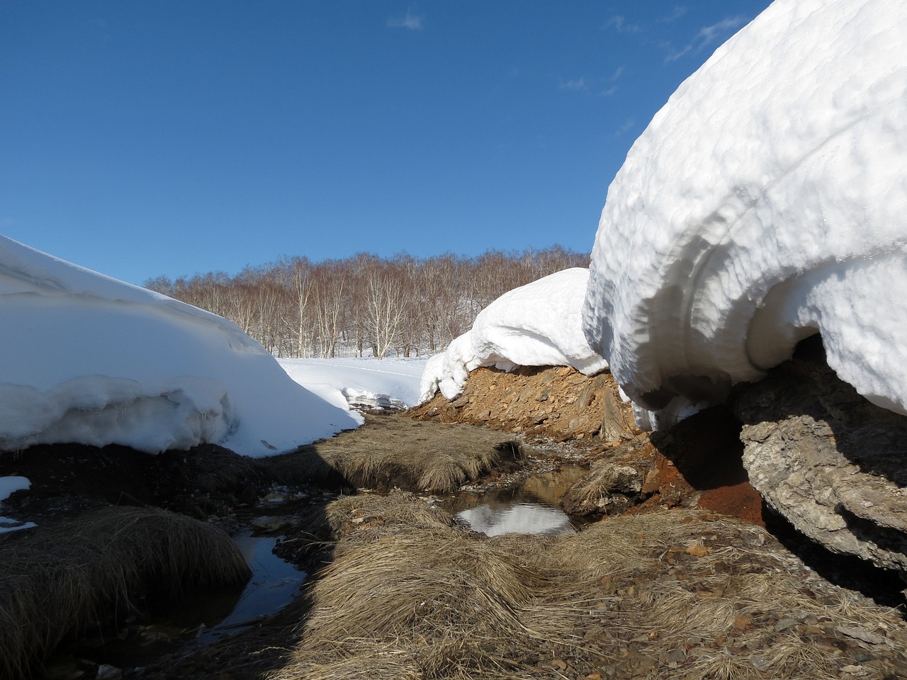 winter snow snowdrifts free photo