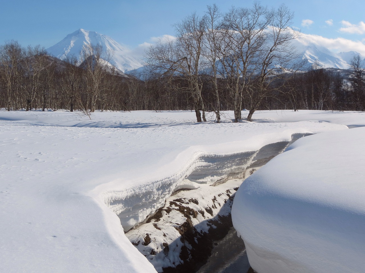 winter snow snowdrifts free photo