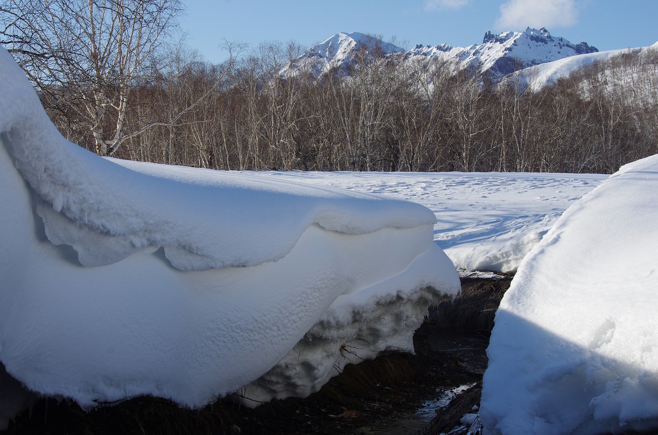 winter snow snowdrifts free photo