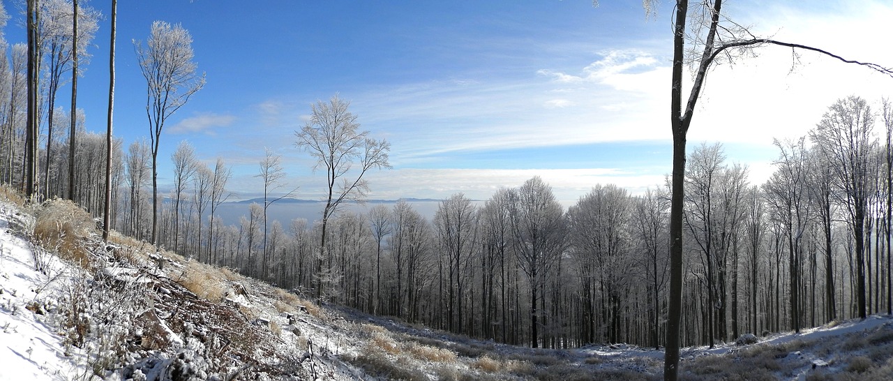 winter country slovakia free photo