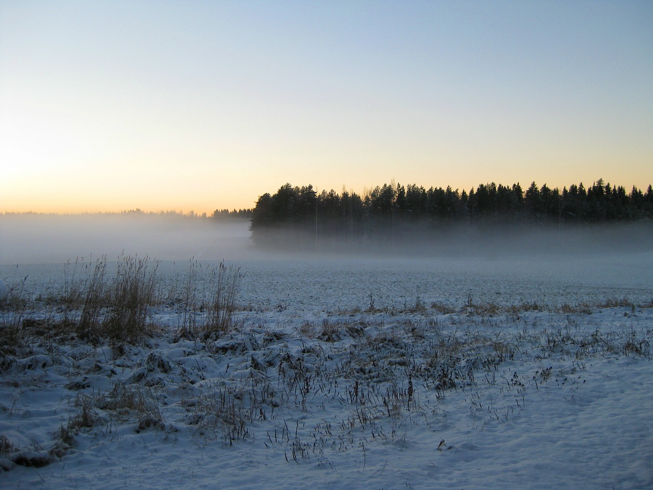 winter snow mist free photo