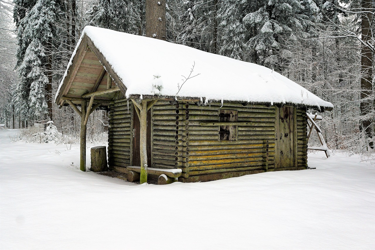 winter snow wood free photo