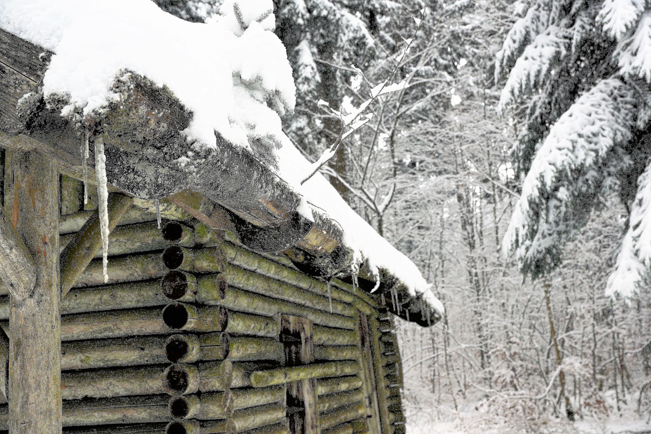 winter nature snow free photo