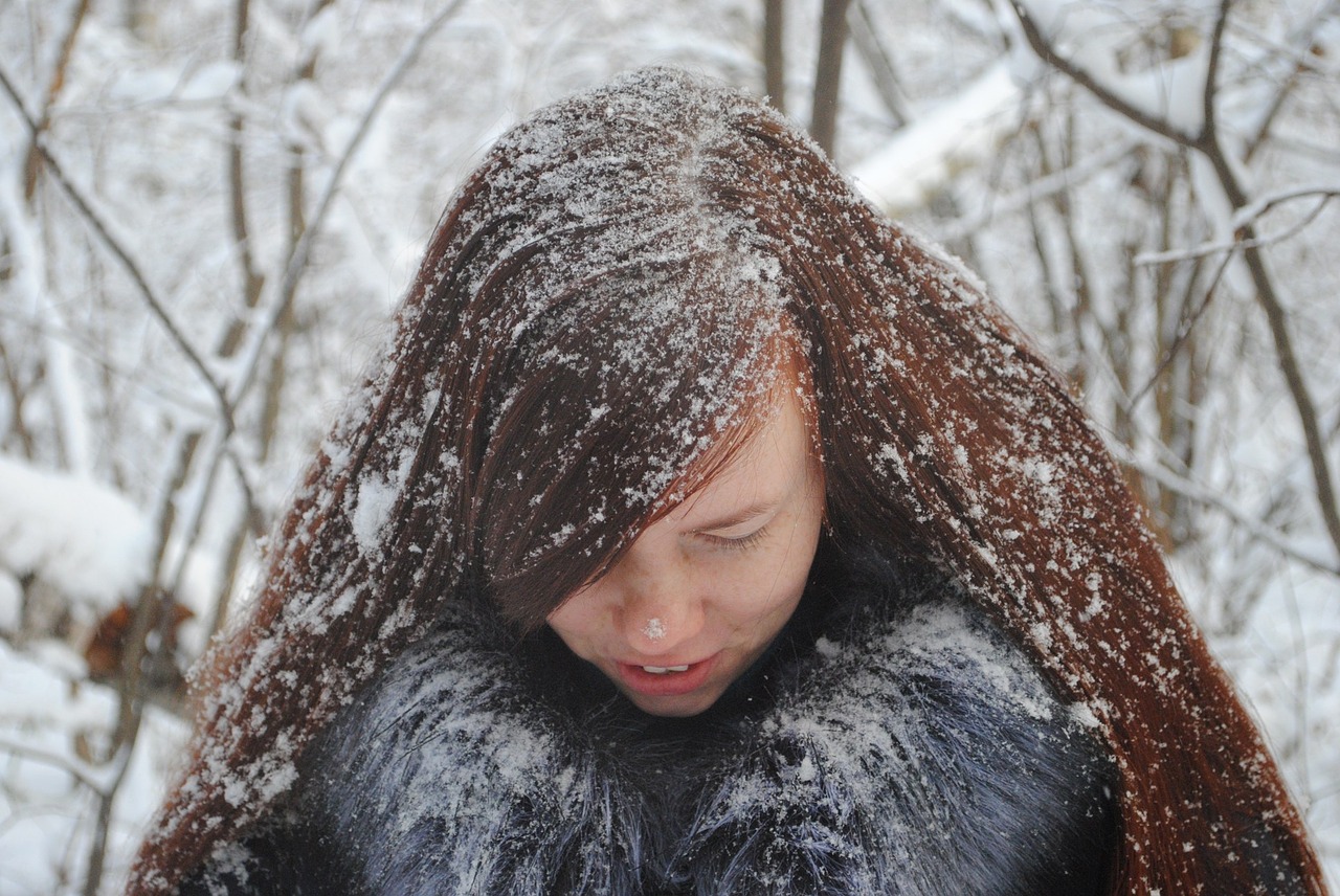 winter coldly snow free photo