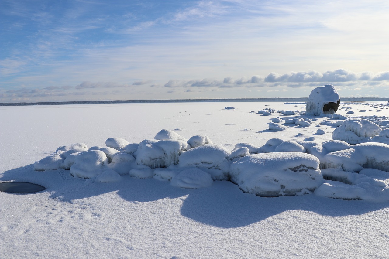 winter snow cold free photo