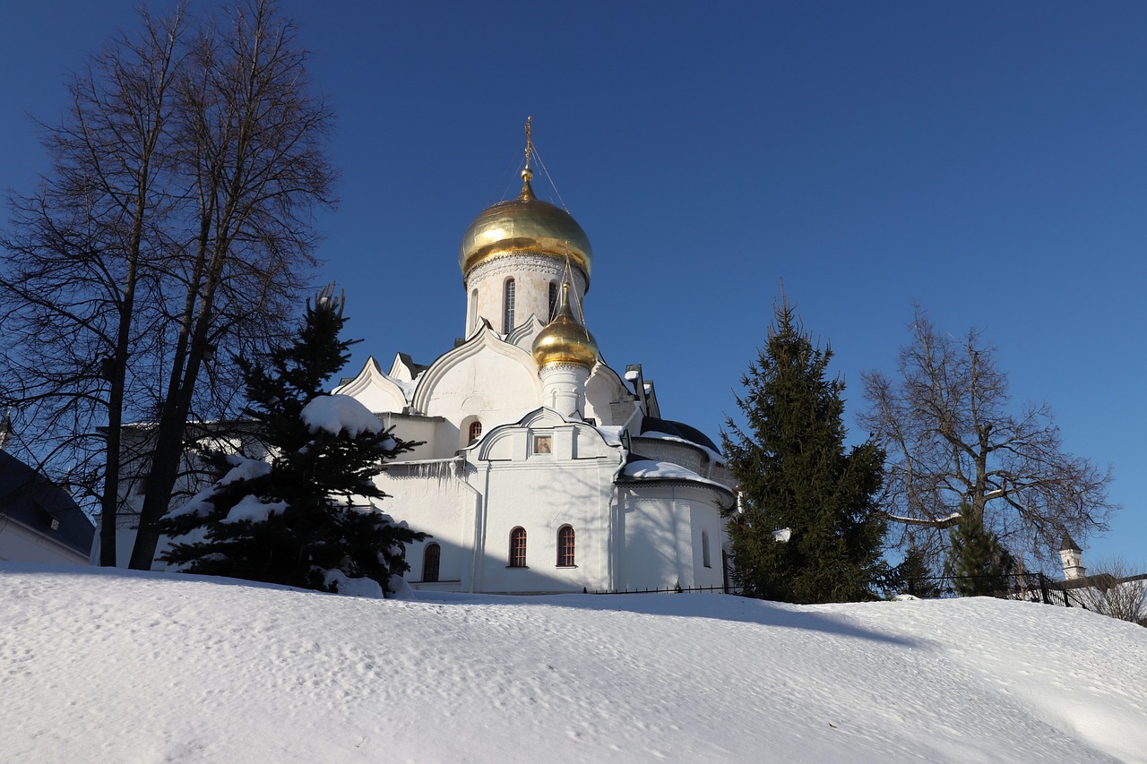 winter snow coldly free photo