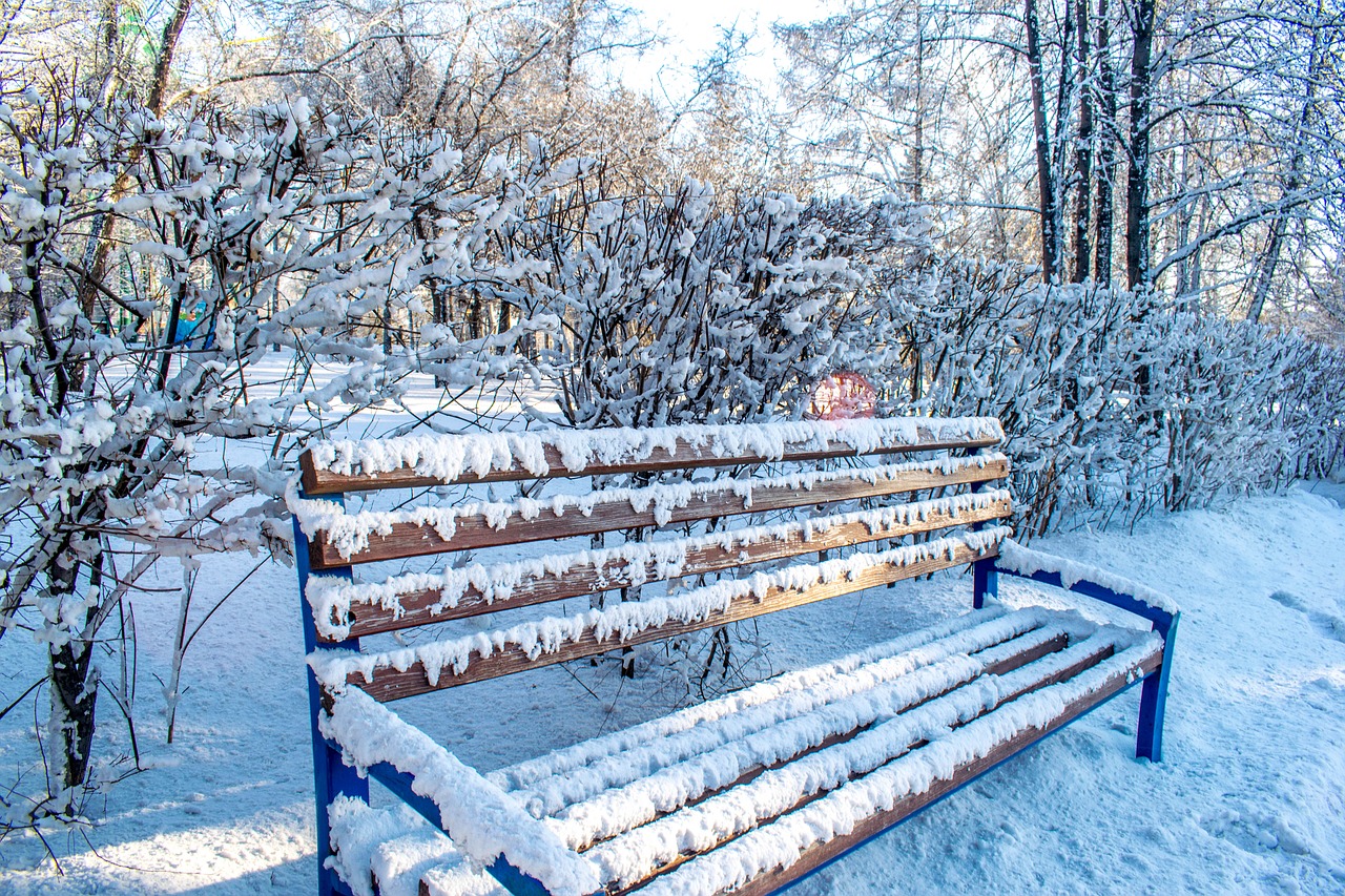 winter snow coldly free photo