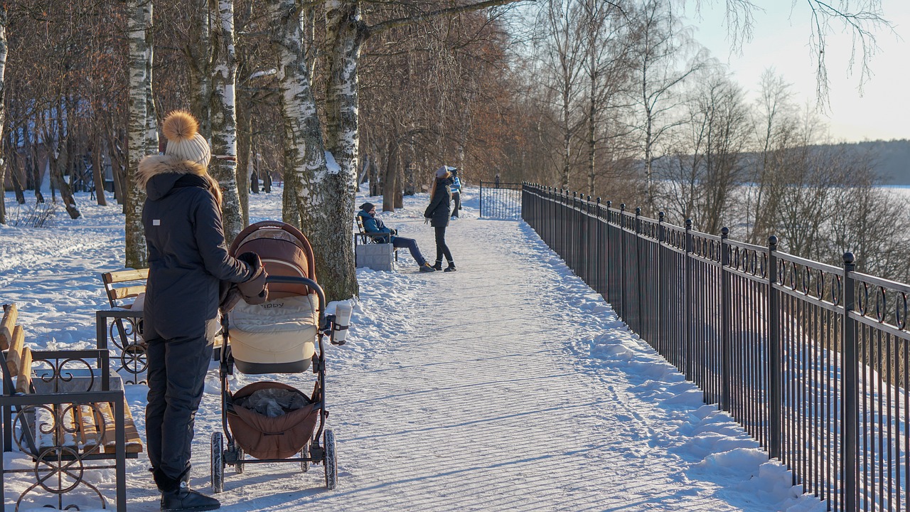 winter snow coldly free photo