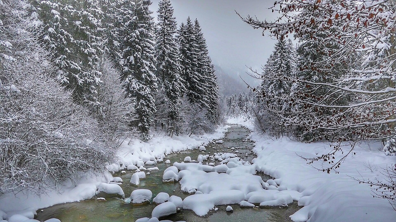 winter snow frost free photo