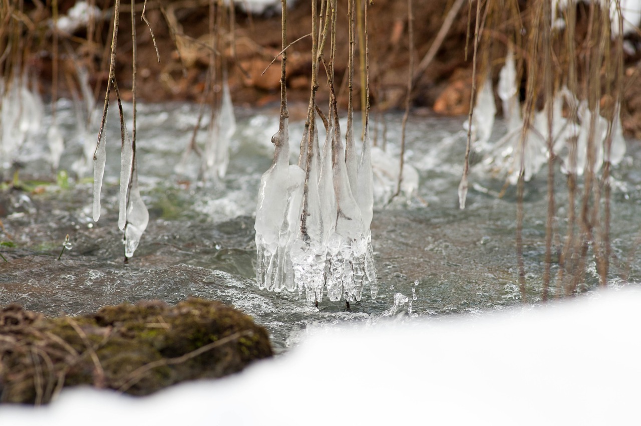 winter snow nature free photo