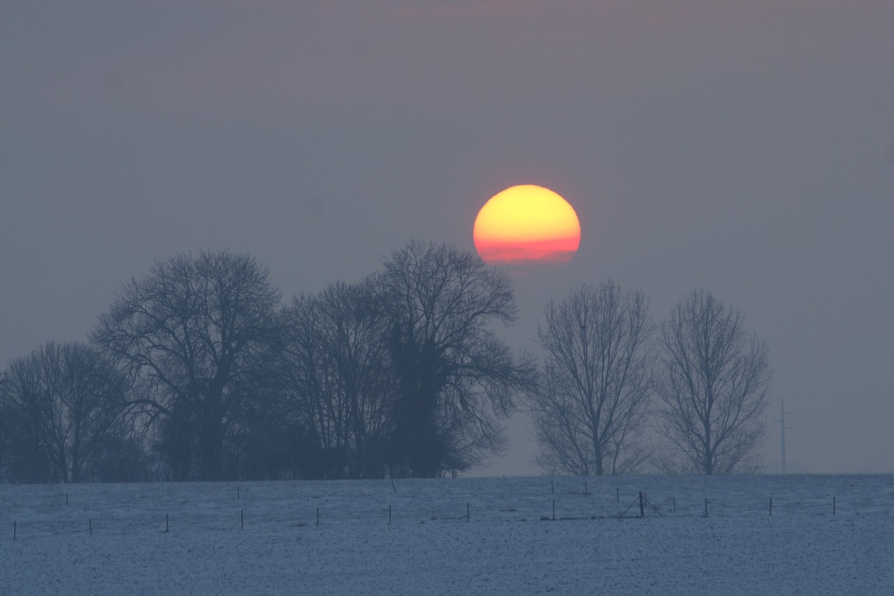 winter dawn snow free photo