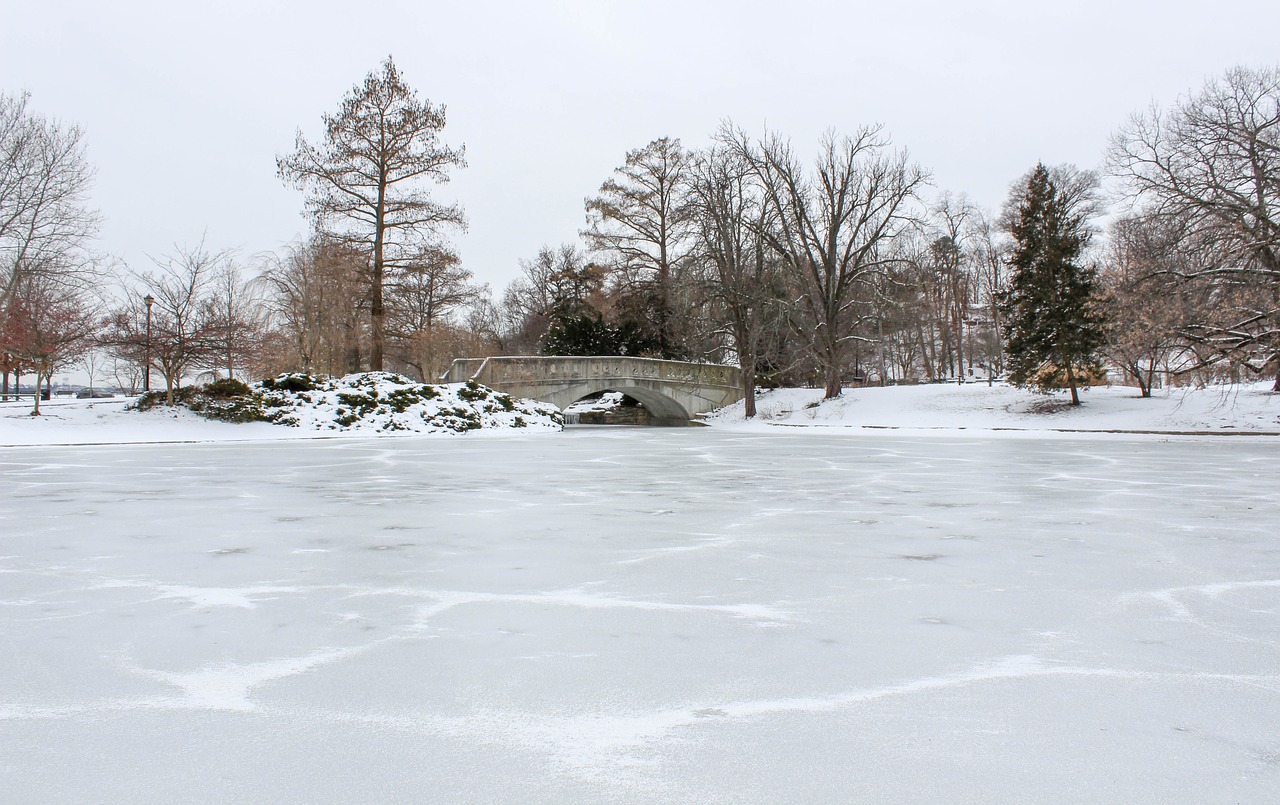 winter snow cold free photo