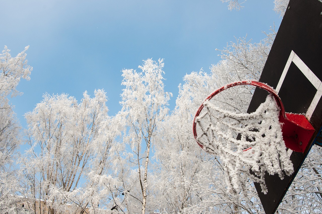 winter snow coldly free photo