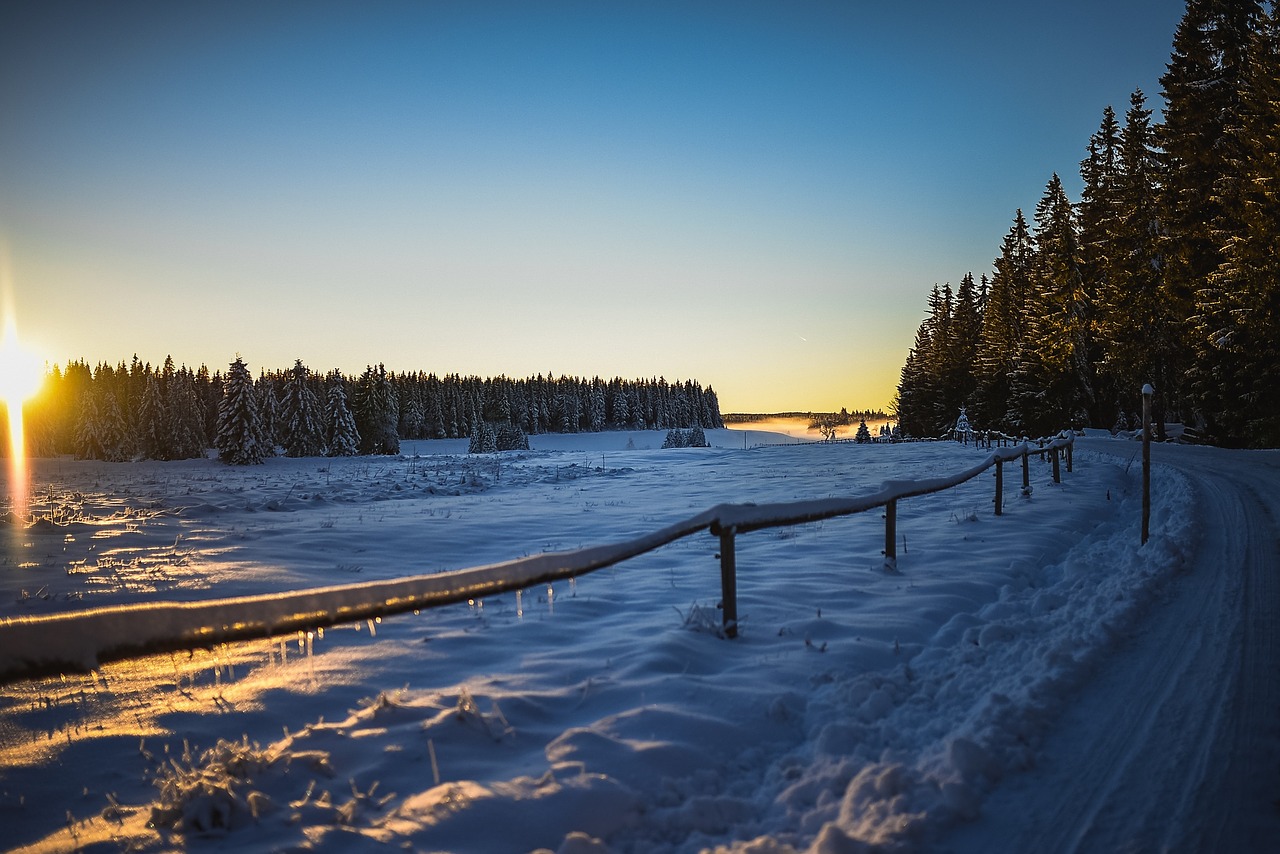 winter wonderland snow free photo