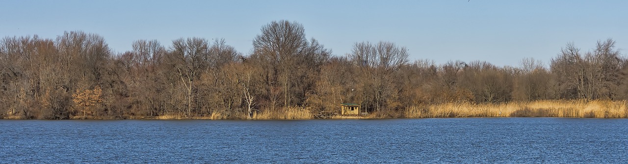 winter nature water free photo