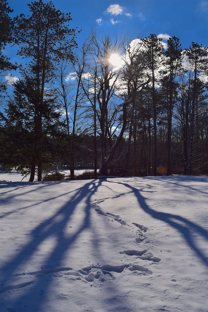 winter snow shadow free photo