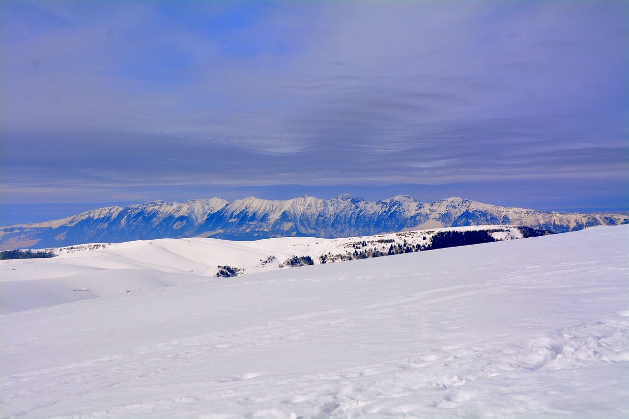 winter snow cold free photo