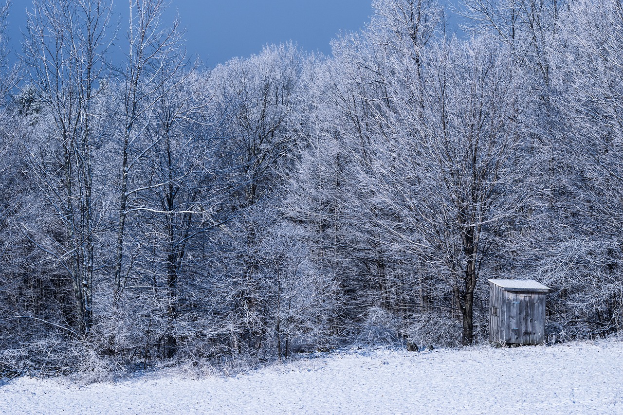 winter  snow  frost free photo