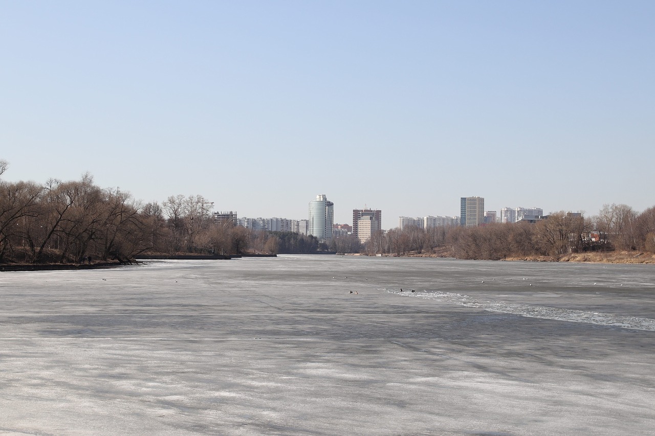 winter  snow  frozen free photo