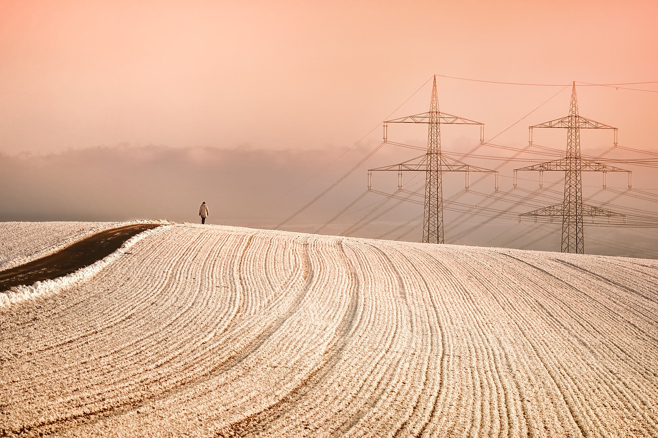 winter  snow  power poles free photo