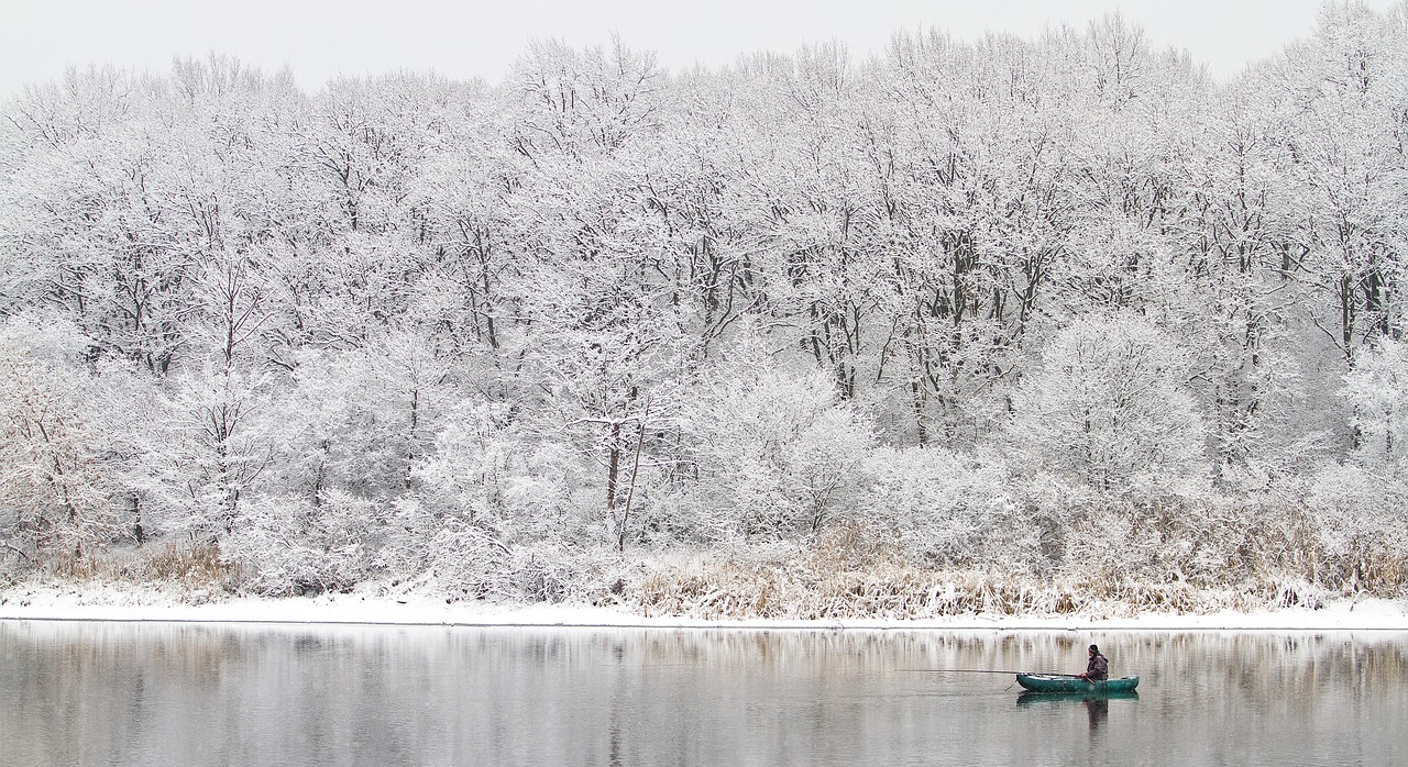 winter  coldly  nature free photo