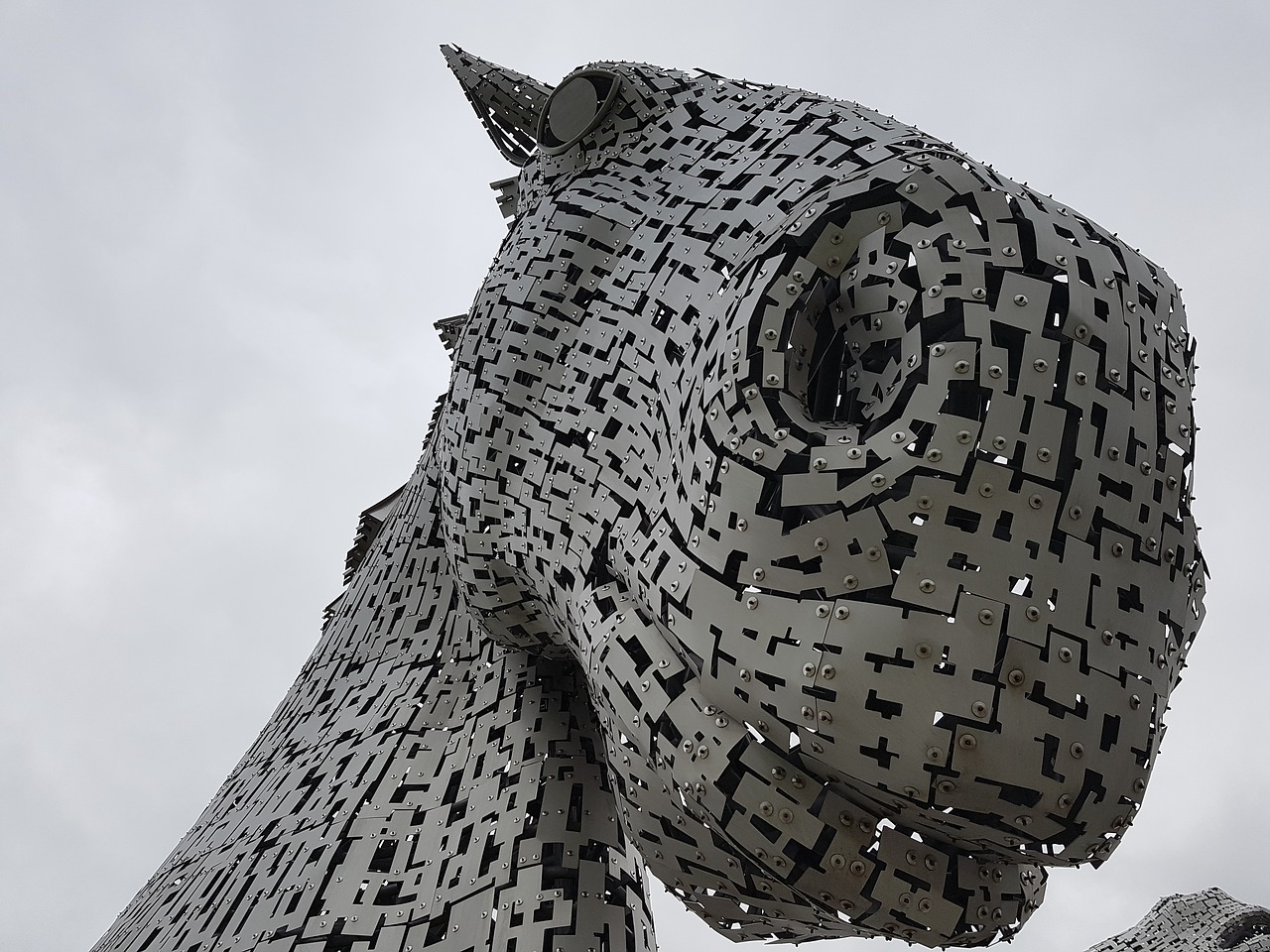 winter  nature  kelpies free photo