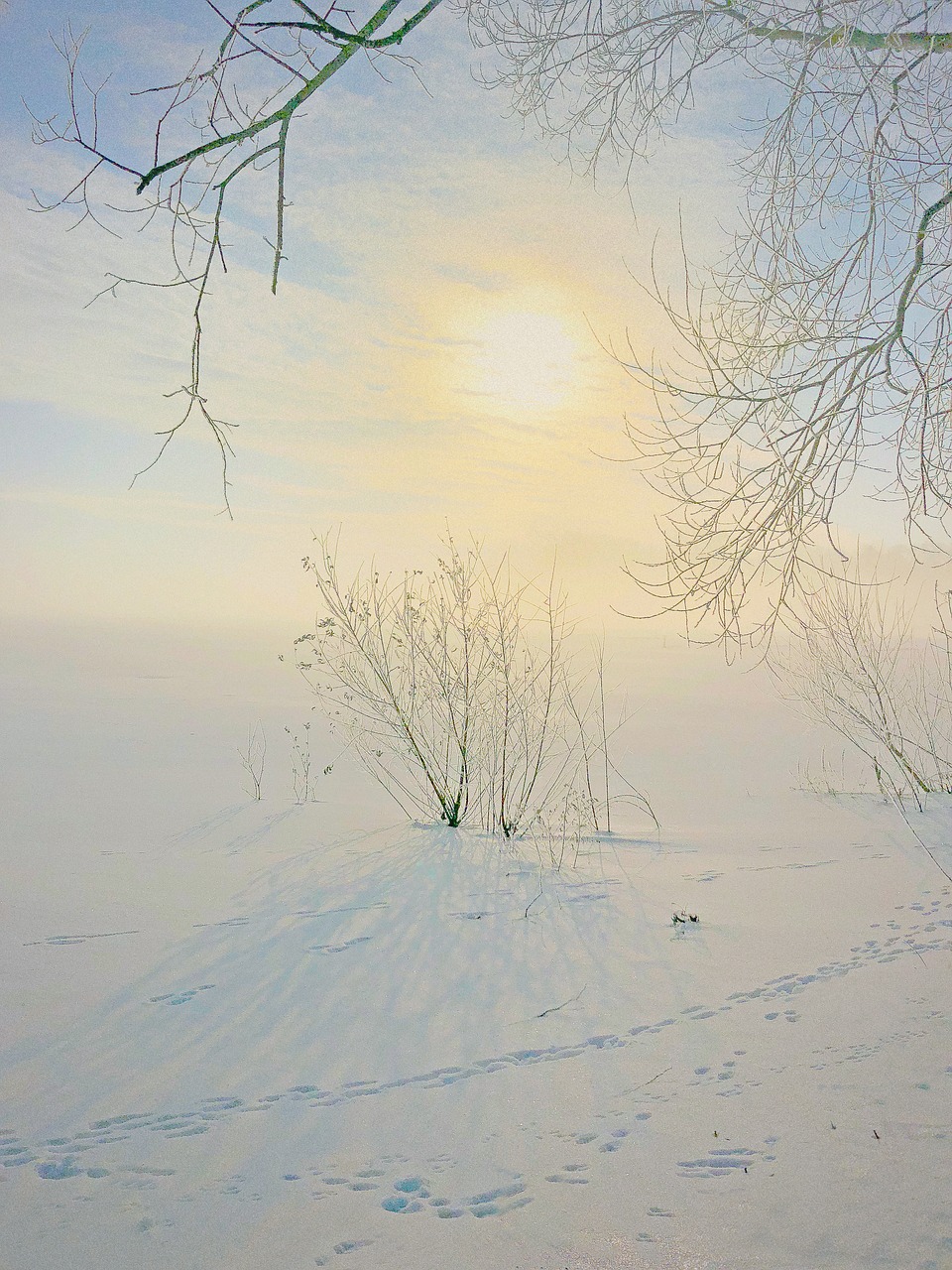 winter  nature  landscape free photo