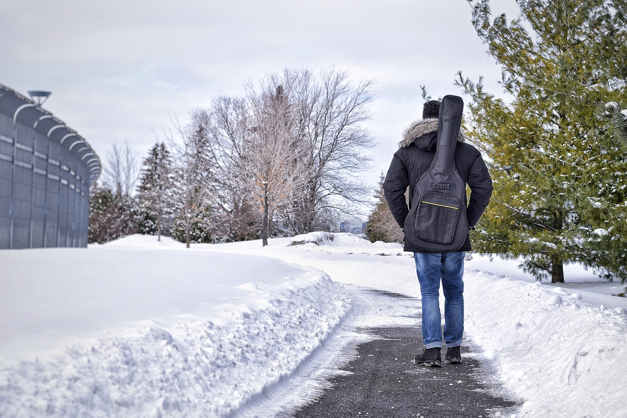 winter  snow  cold free photo