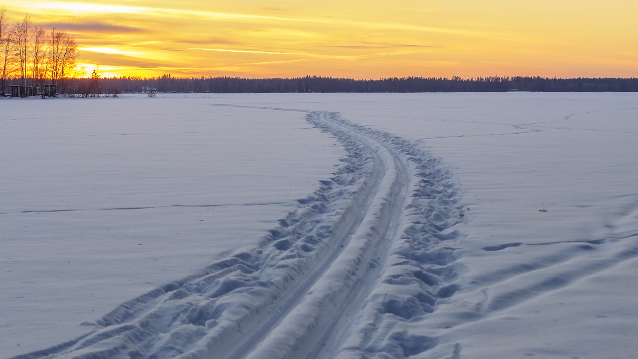 winter  nature  snow free photo