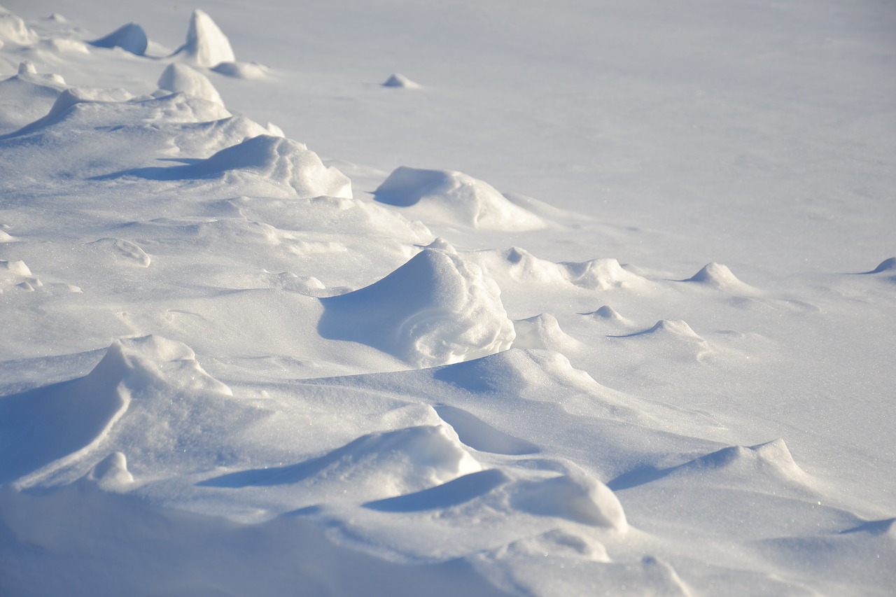 winter  field  snow free photo