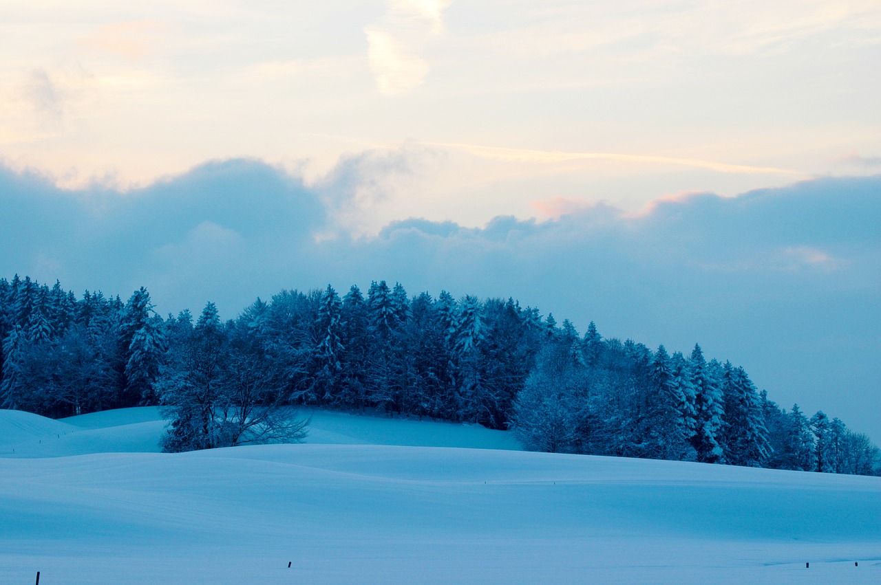 winter  landscape  blue free photo