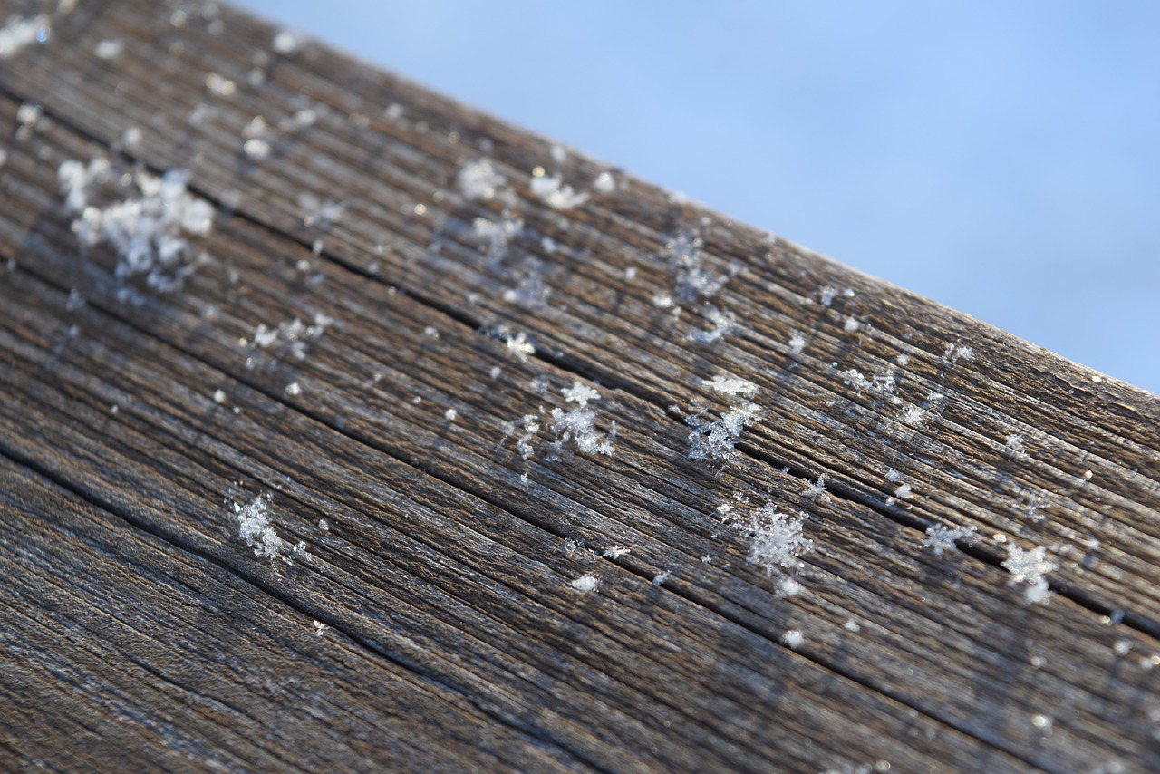 winter  snowflakes  the petals free photo