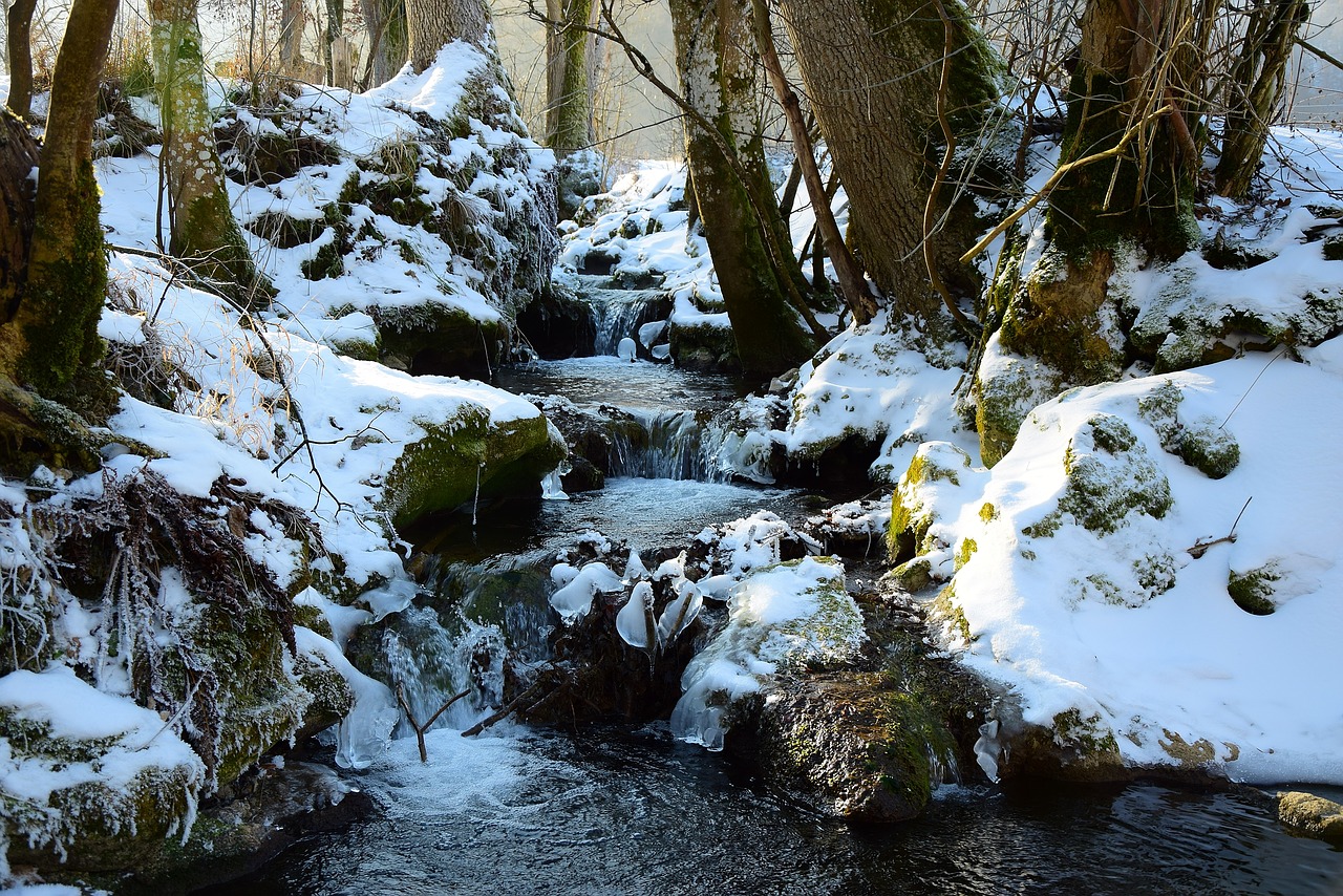 winter  water  ice free photo