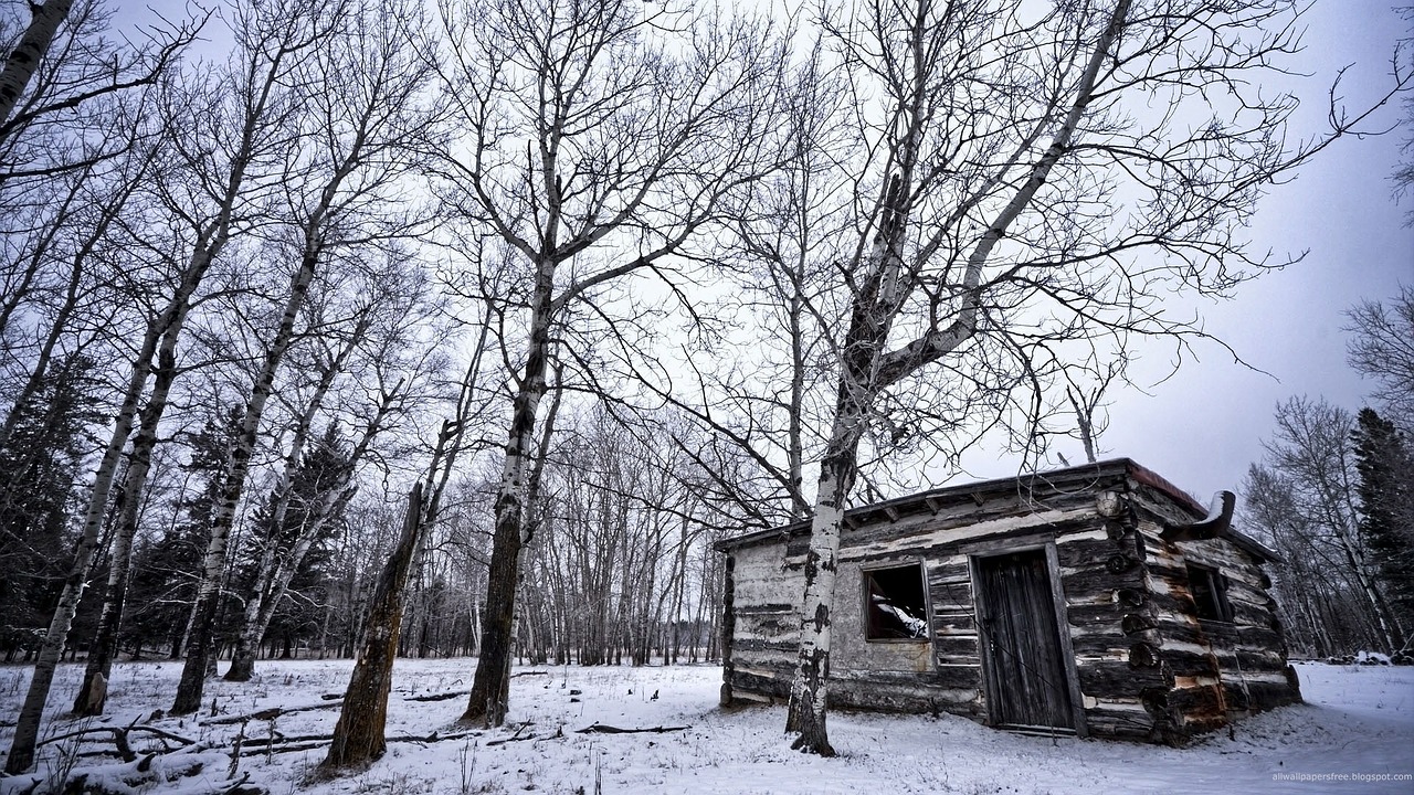 winter hut loneliness free photo