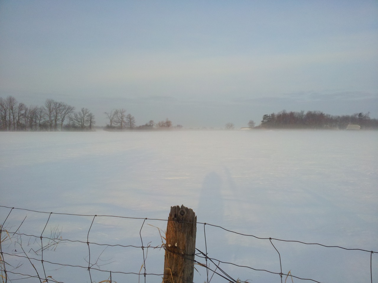 winter ottawa foggy winter day free photo