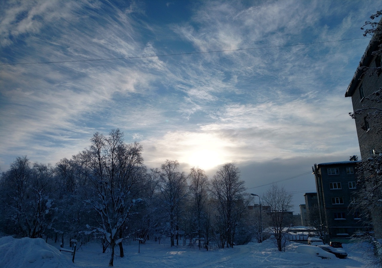 winter  sunset  trees free photo