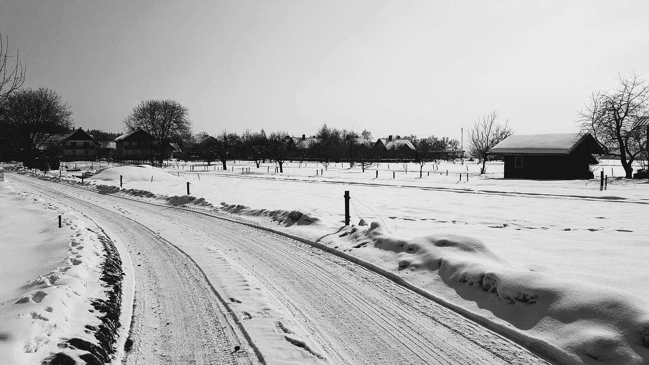 winter  slovenia  snow free photo