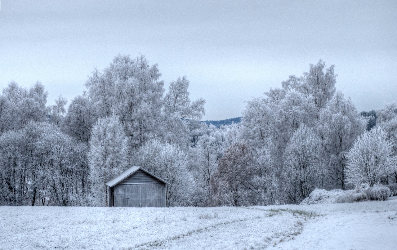 winter  frosted  house free photo