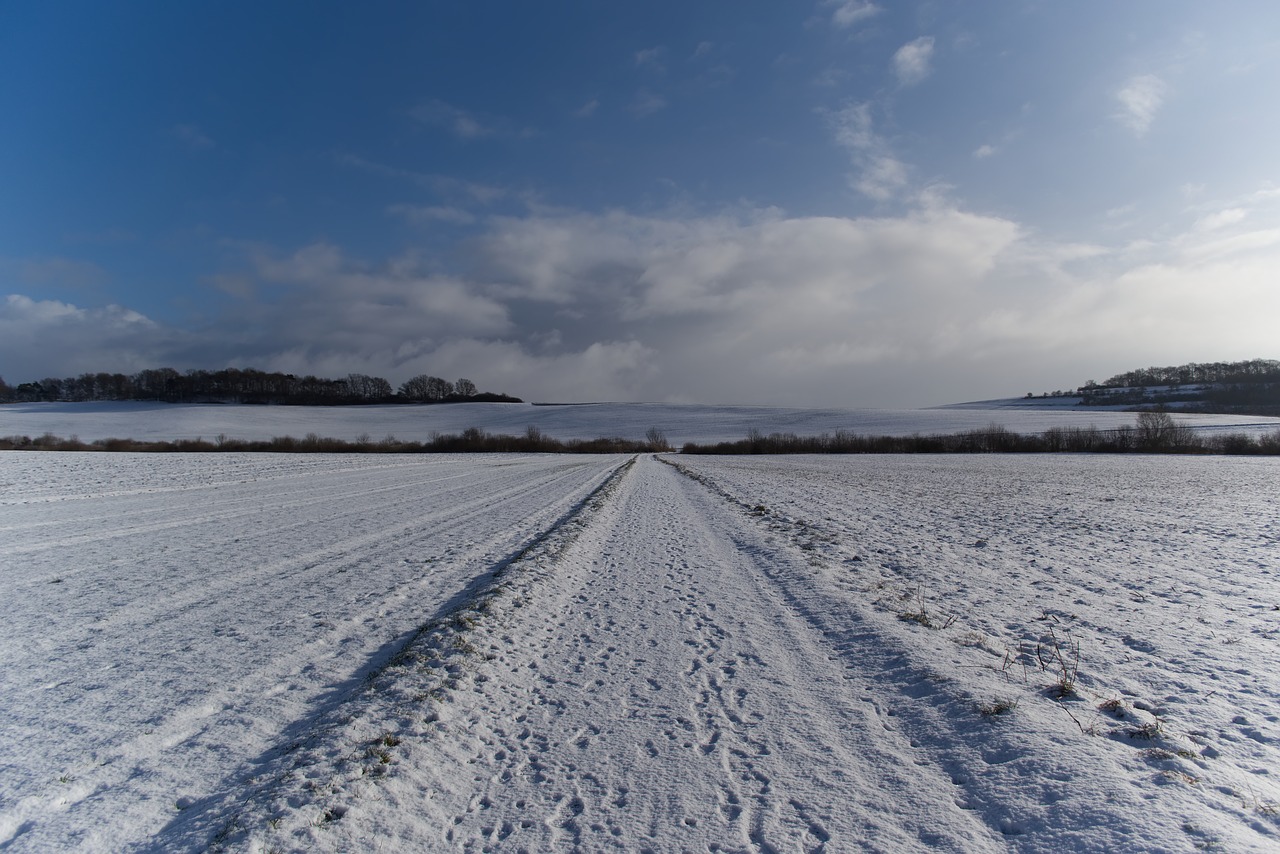 winter  cold  snow free photo