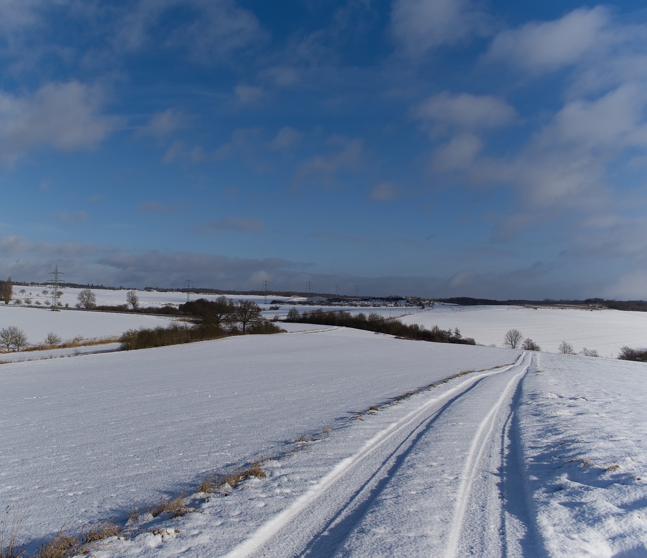 winter  cold  sky free photo