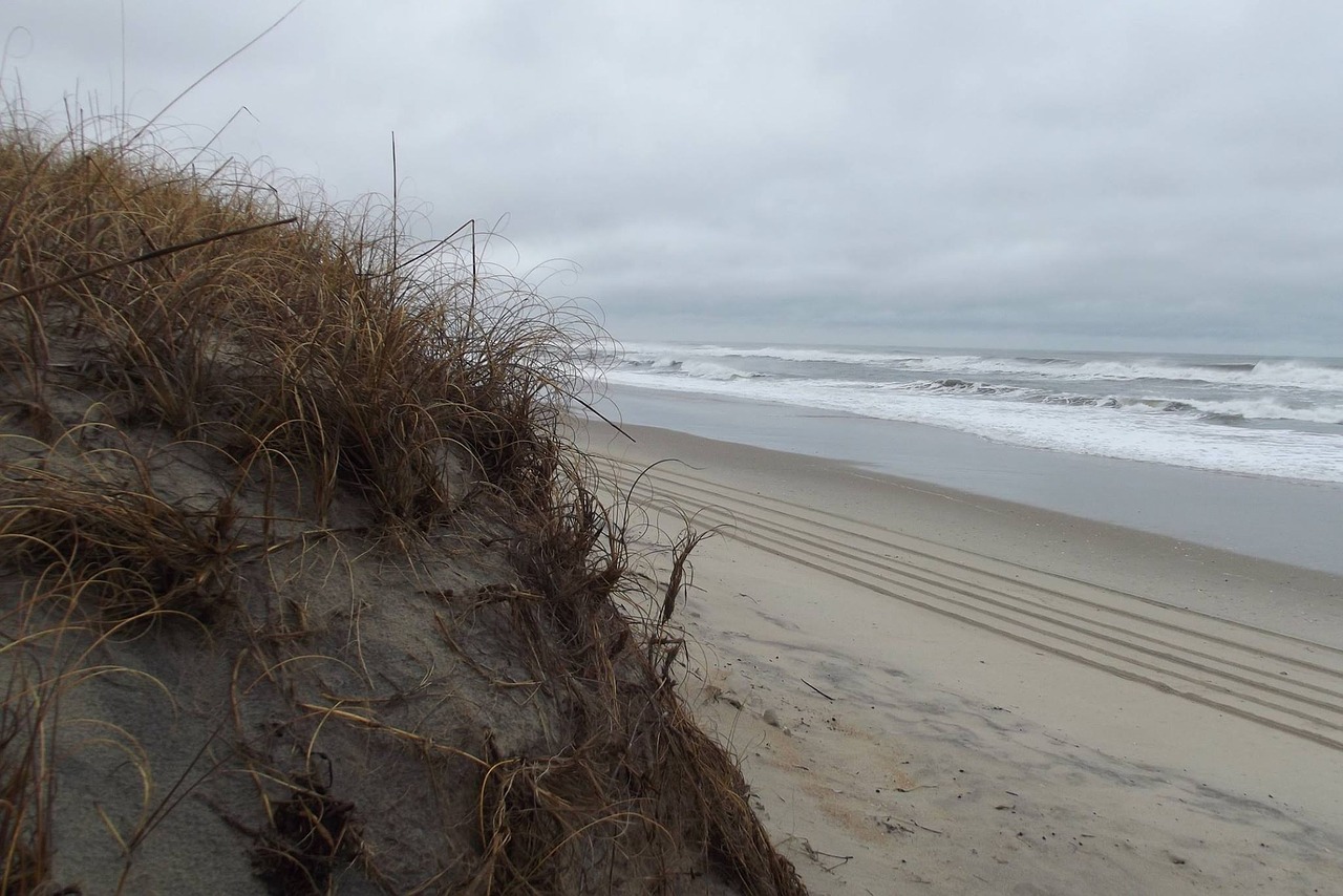 winter  sand dune  deserted free photo