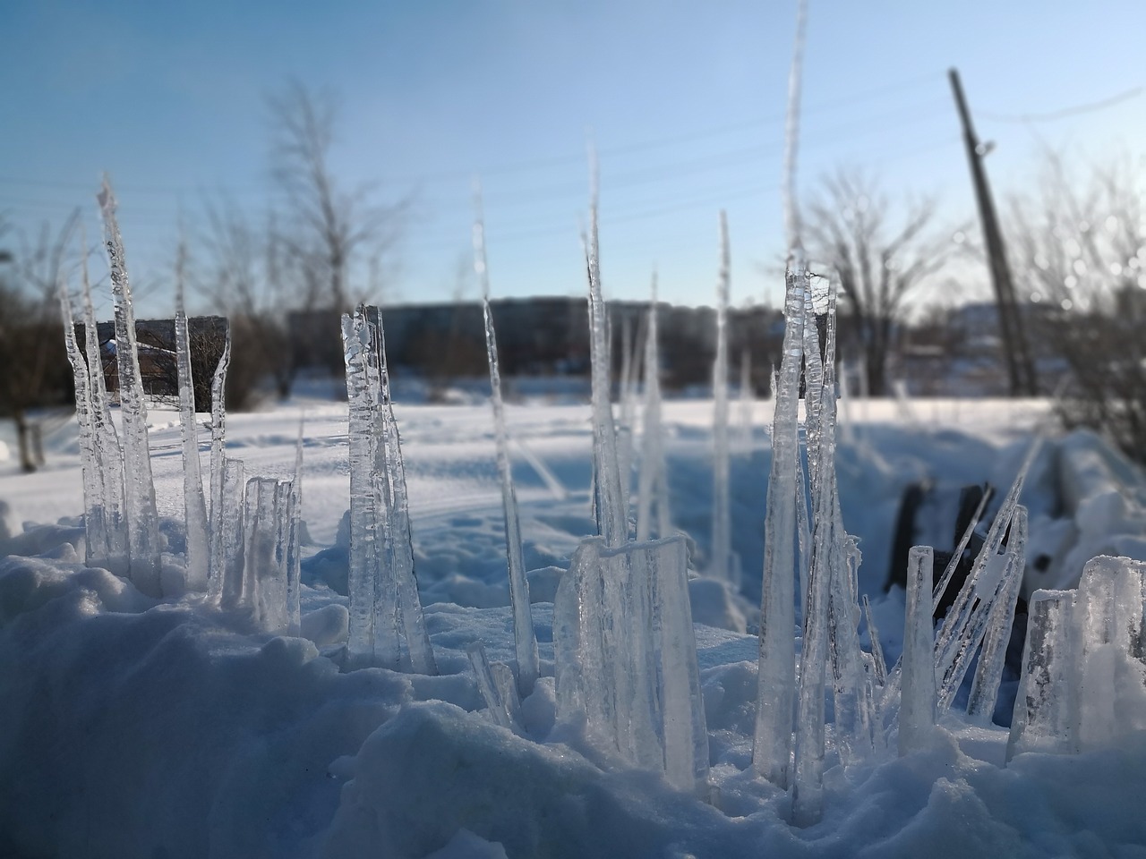 winter  snow  ice free photo