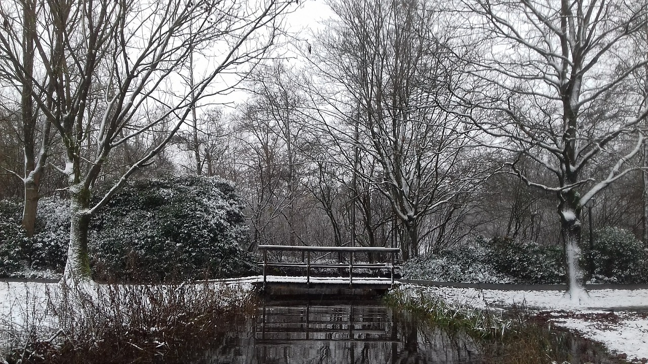 winter  landscape  snow free photo